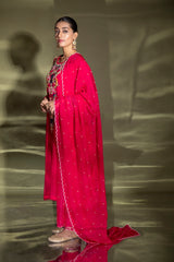 Athena embroidered suit with dupatta