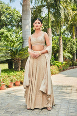 Myra- Beige Embroidered Chikankari Lehenga Set