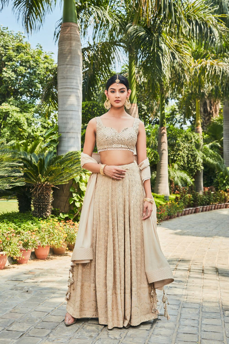 Myra- Beige Embroidered Chikankari Lehenga Set