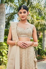 Myra- Beige Embroidered Chikankari Lehenga Set