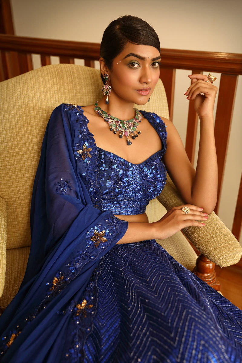 Erum blue lehenga set