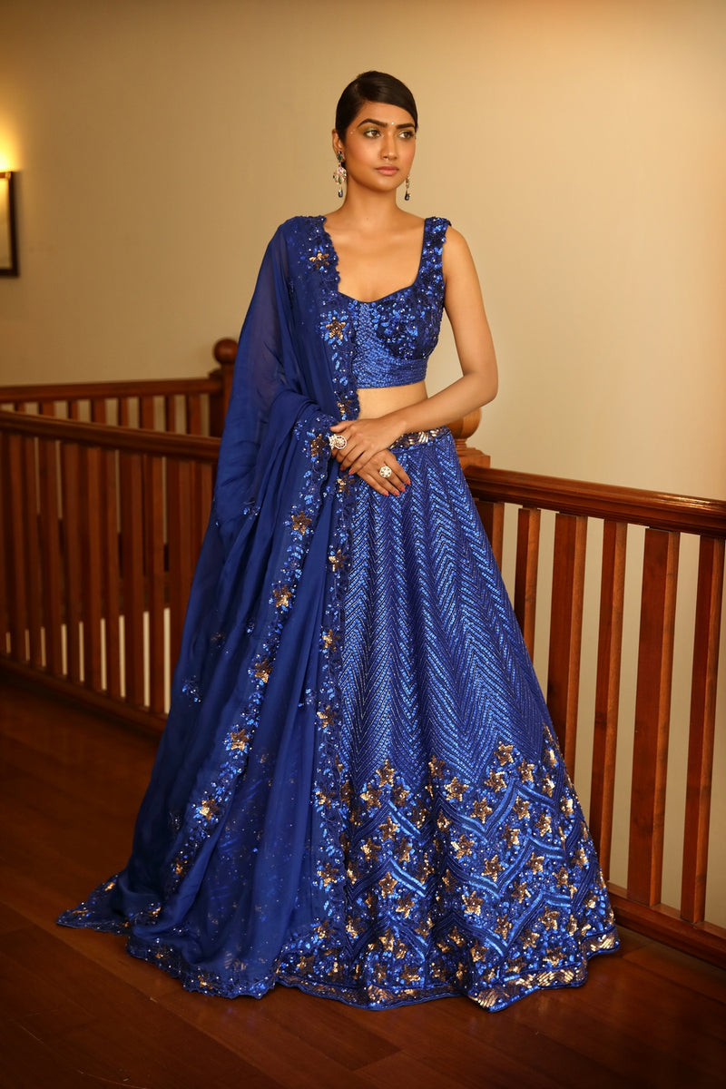 Erum blue lehenga set