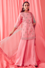 Soft Pink Dori Embroidered Sharara Set