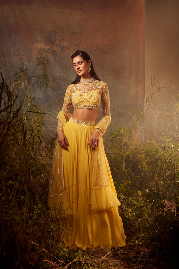 APHRODITE Embroidered blouse with embroidered dupatta lehenga