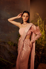 NIYA Embroidered structured sleeves sari