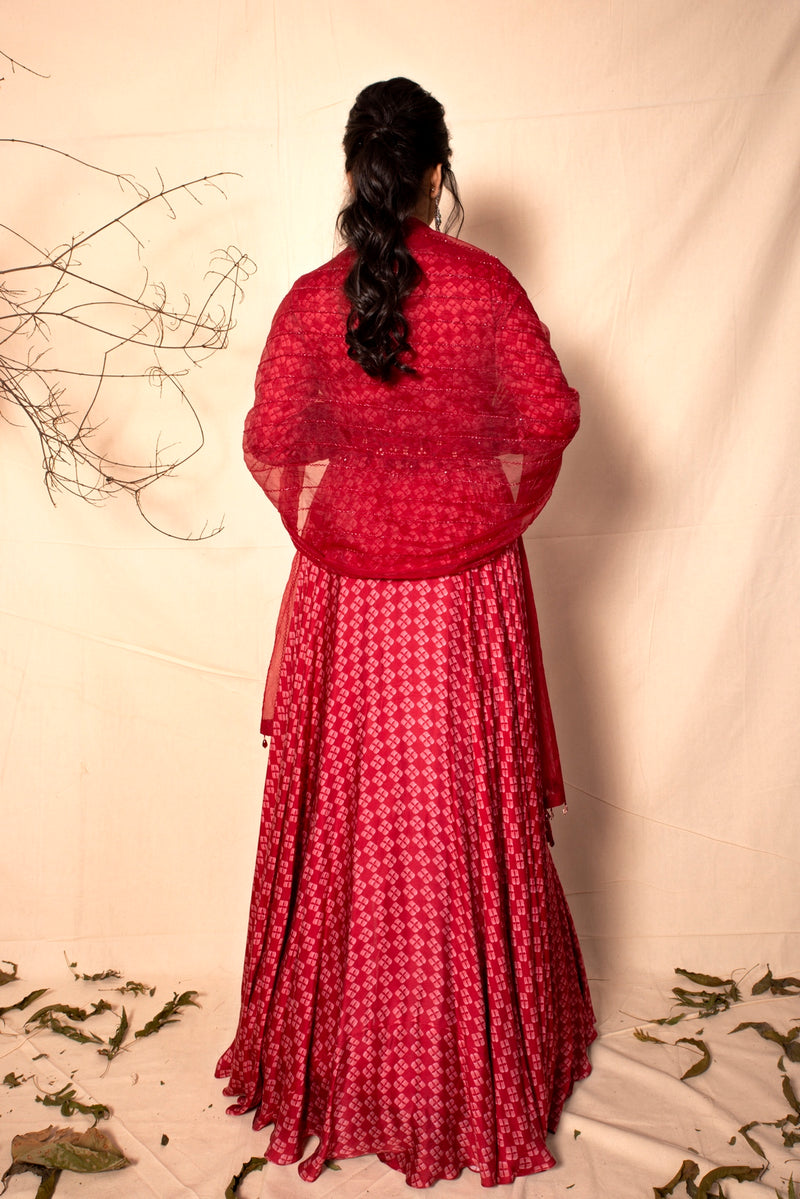 Ruby Red Gown with Embroidered Dupatta