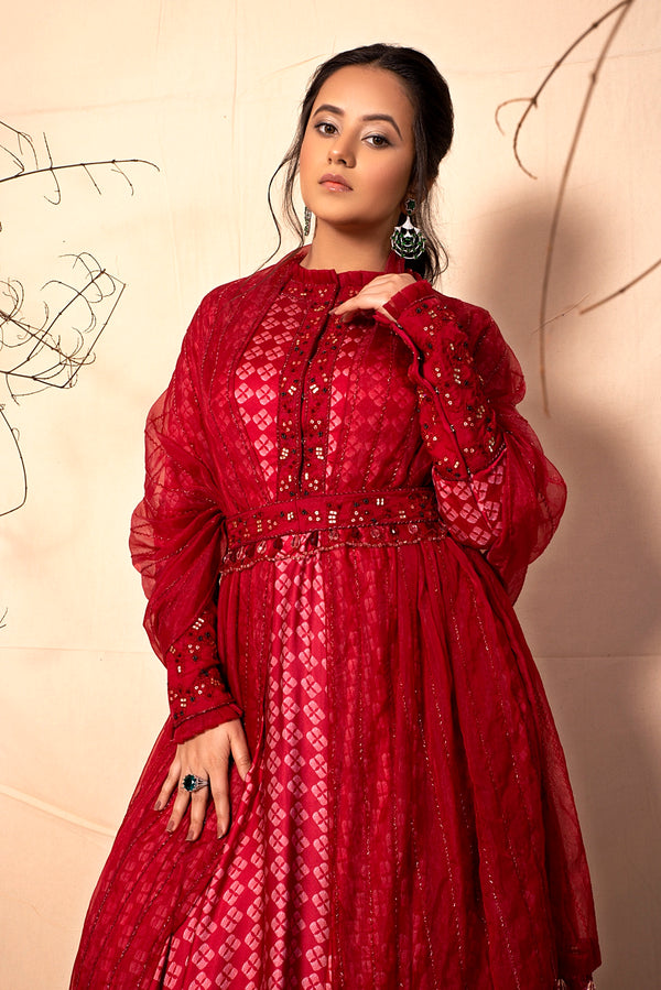 Ruby Red Gown with Embroidered Dupatta