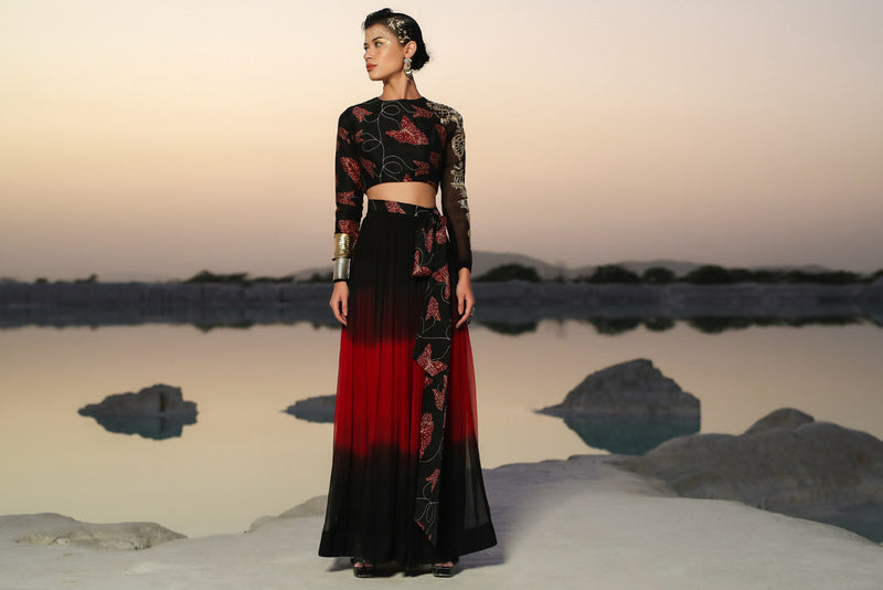 Ameera Magical Sleeve Top With Hued Skirt Set