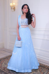 Powder Blue Lehenga set